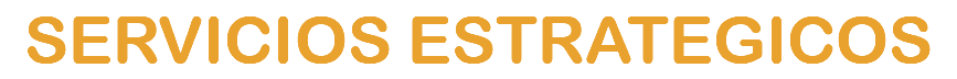 SERVICIOS ESTRATEGICOS 